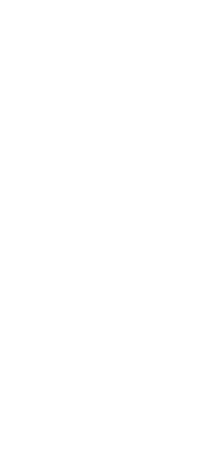The Bay Gate vertical logo