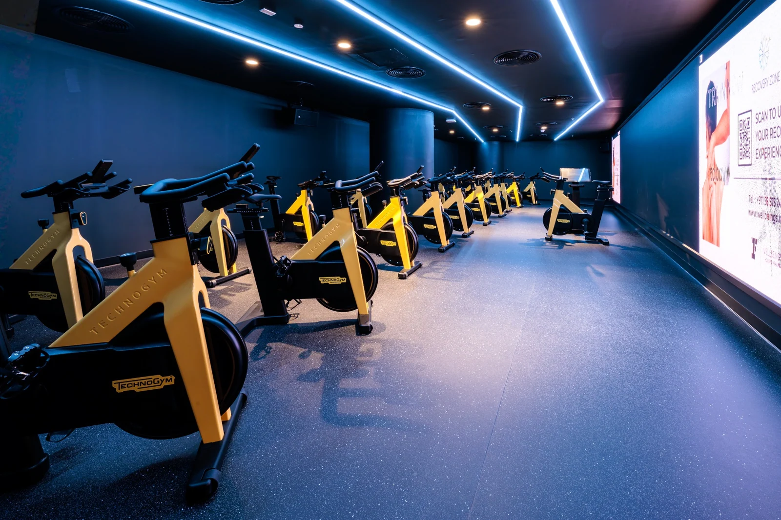 Fitness First